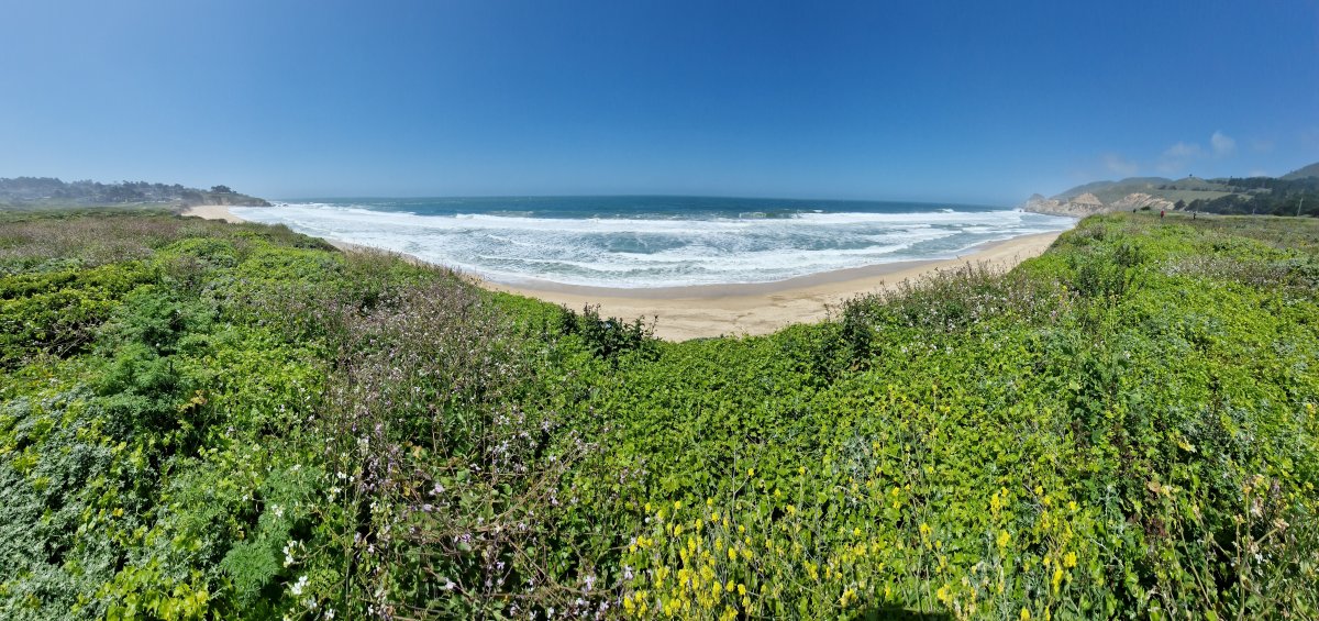 4ème jour: Côte ouest et Silicon Valley